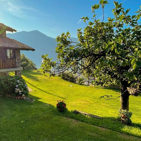 Casa Vacanze La Casa Del Sole Apartment Angolo Terme Exterior photo